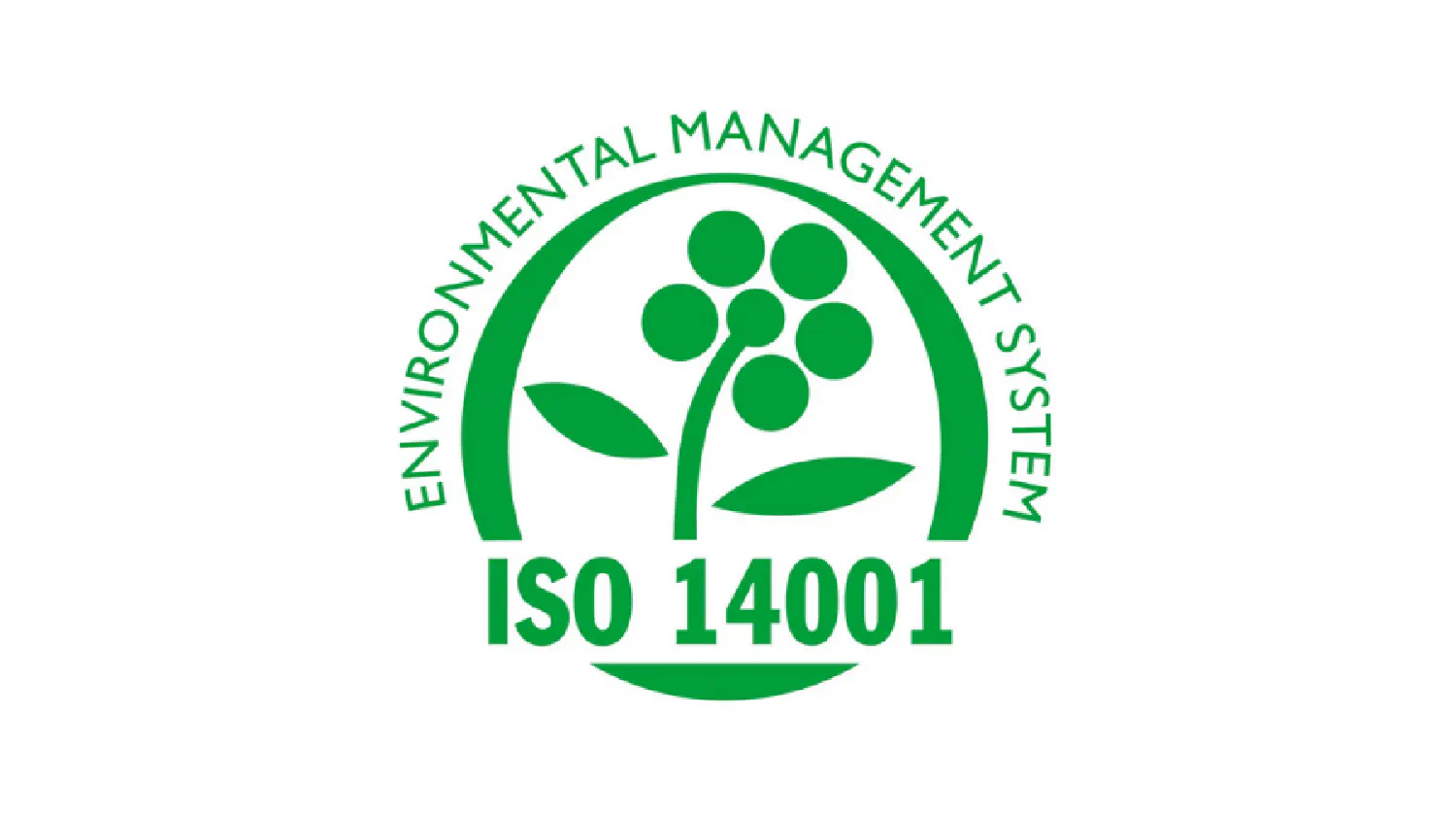 About Eco Packages