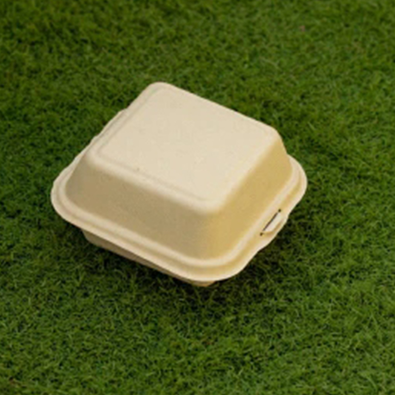 Bagasse Bento Cake & Lunch Box 