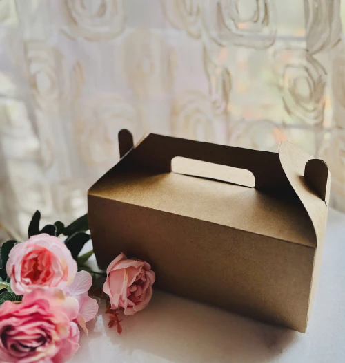 images/Kraft-Multipurpose-Box-Handle-in-Australia.webp